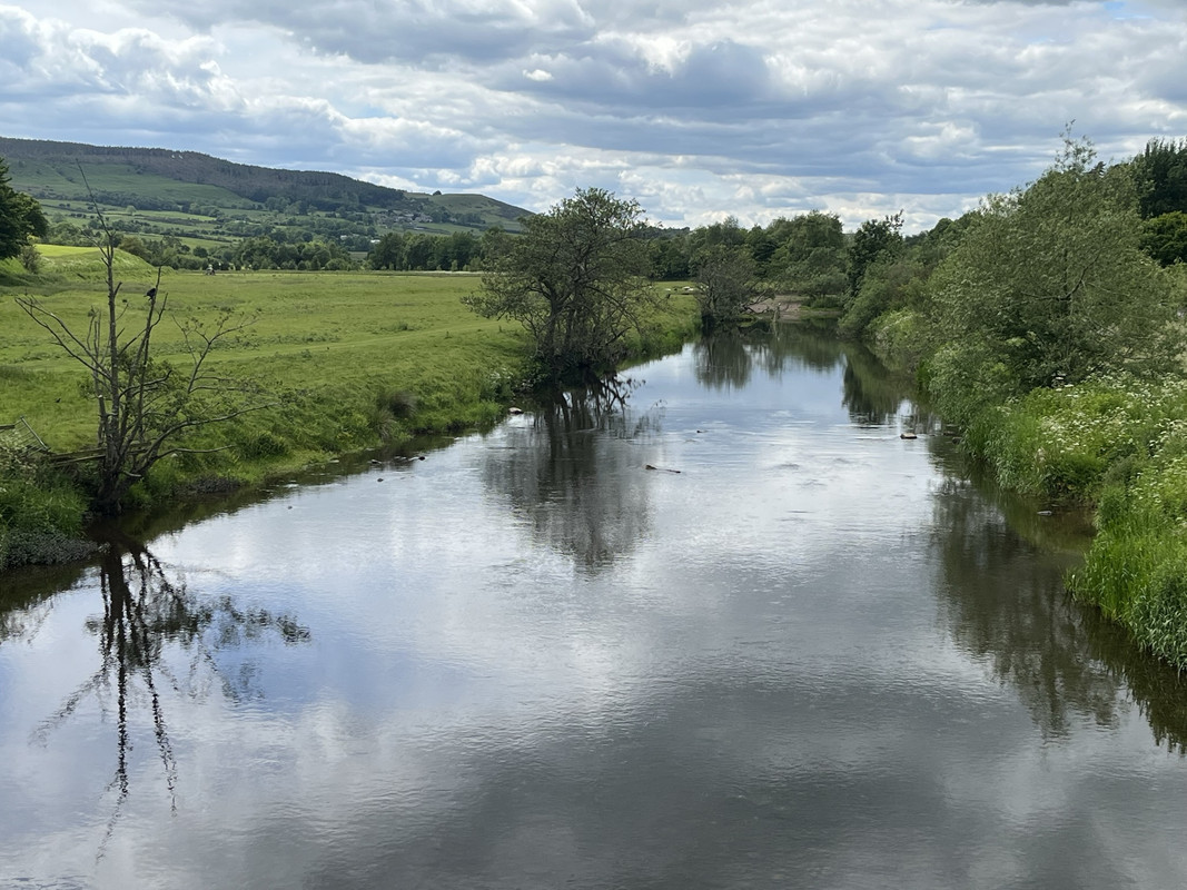 D676BE78-0598-43E0-AE00-919BA1DA90AA