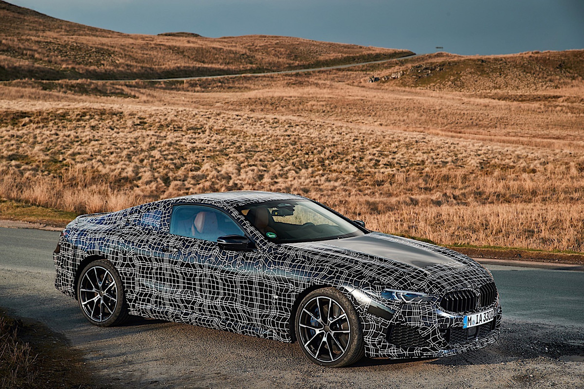 BMW 8 Series Coupe (14)