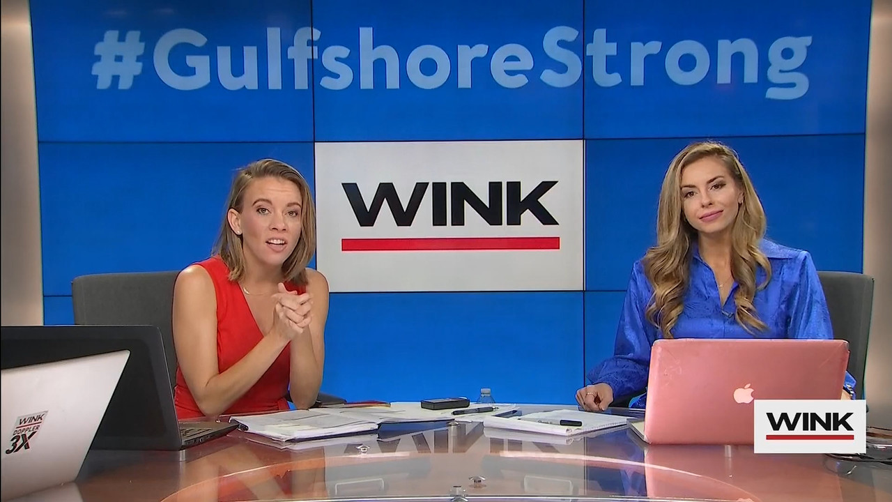 10.09 - 13.00.00 - WINK News at 8 00AM  ᴺᵉʷ..ts_snapshot_00.24.12.773