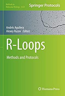 R-Loops: Methods and Protocols