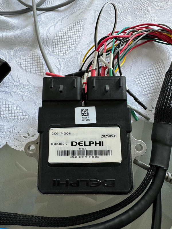 WhatsApp Image 2024-09-04 at 14.16.41