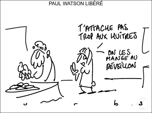 text alternatif