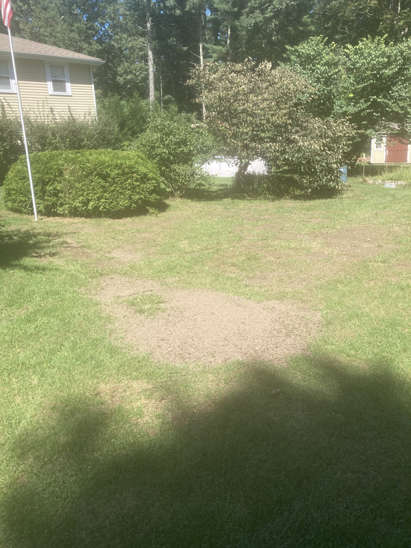 BC465F13-A824-4F19-9562-919E9ADC291F