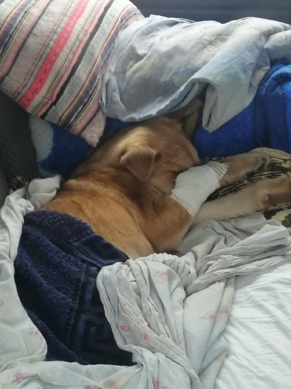 едет в стац2