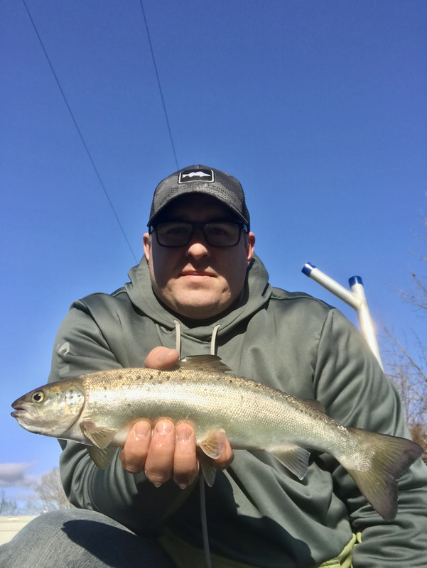 B5A27EC9-B993-453C-8B98-6BCF0573258C