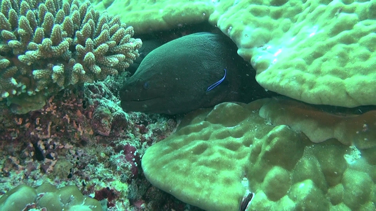 vlcsnap-2023-12-21-21h34m27s873