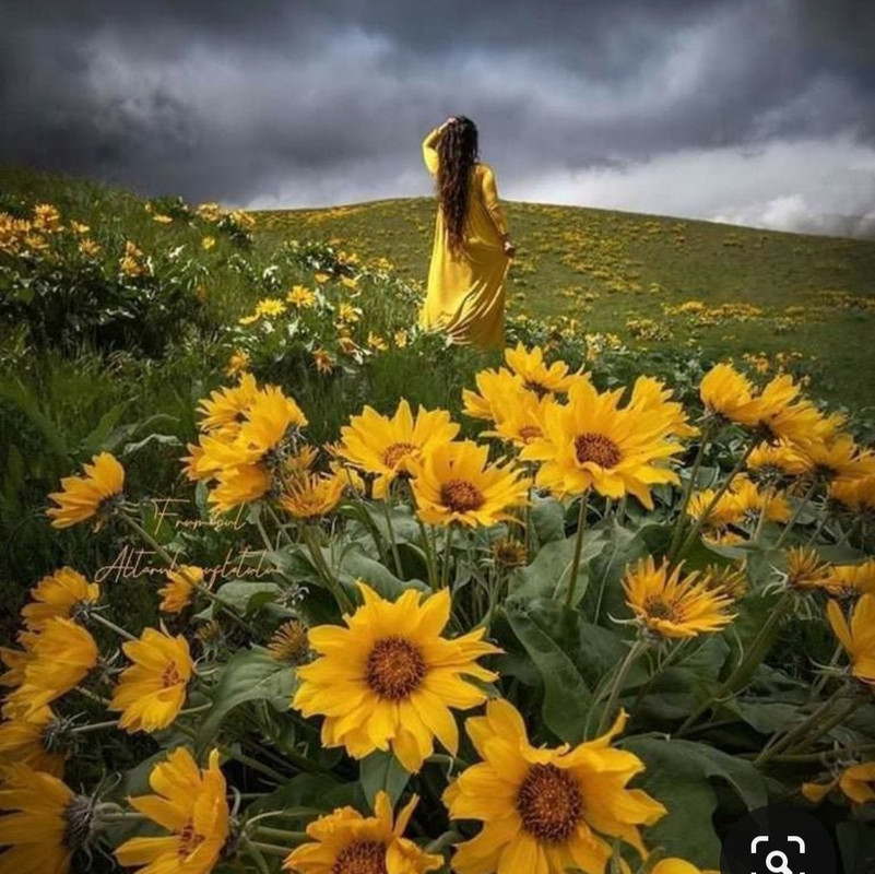 Screenshot_20230919_221200_Pinterest