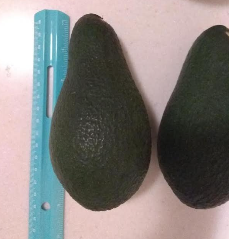 Winter Mexican avocado 2024
