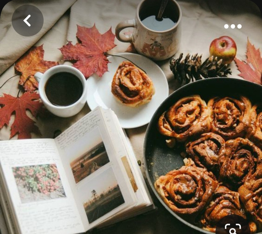 Screenshot_20231008_225240_Pinterest