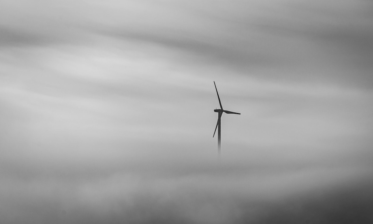 186486525-670505311014369-75452013804899