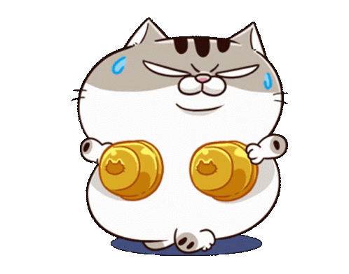 ami fat cat fgcat1 ezgif com gif maker