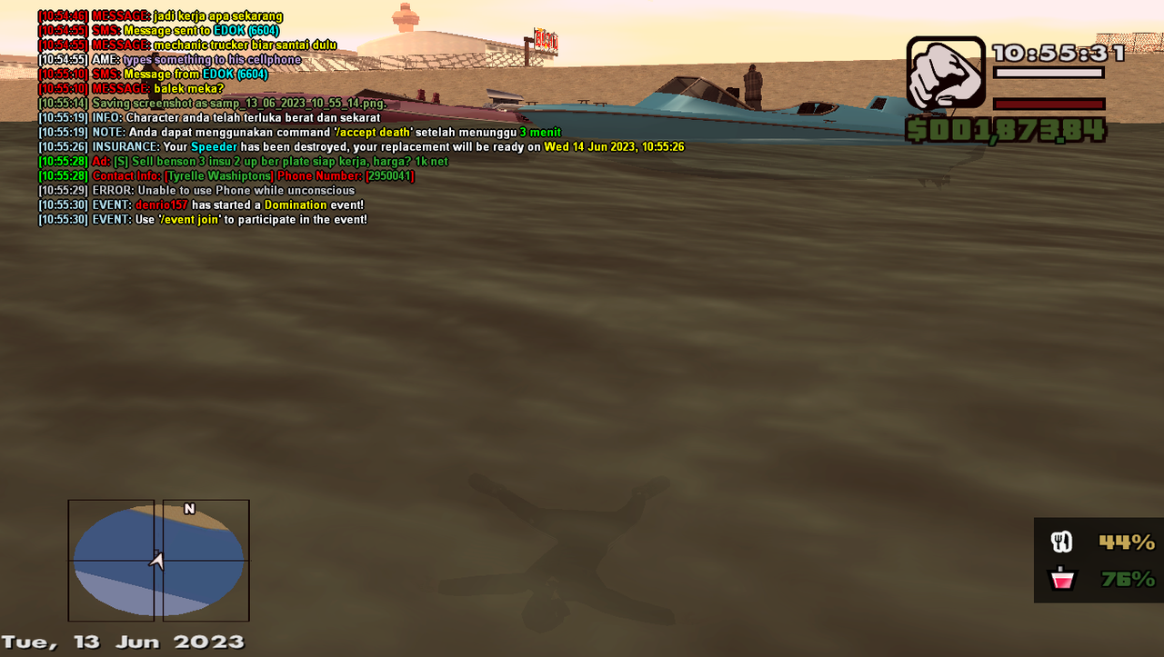 samp-13-06-2023-10-55-33.png
