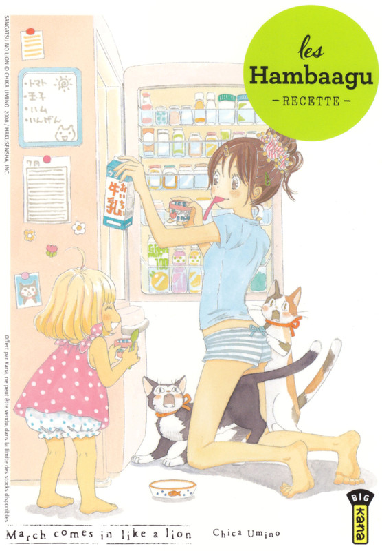 kawamoto-hinata-and-kawamoto-momo-sangatsu-no-lion-drawn-by-umino-chika-a65c5add1df406bb9d83fe332
