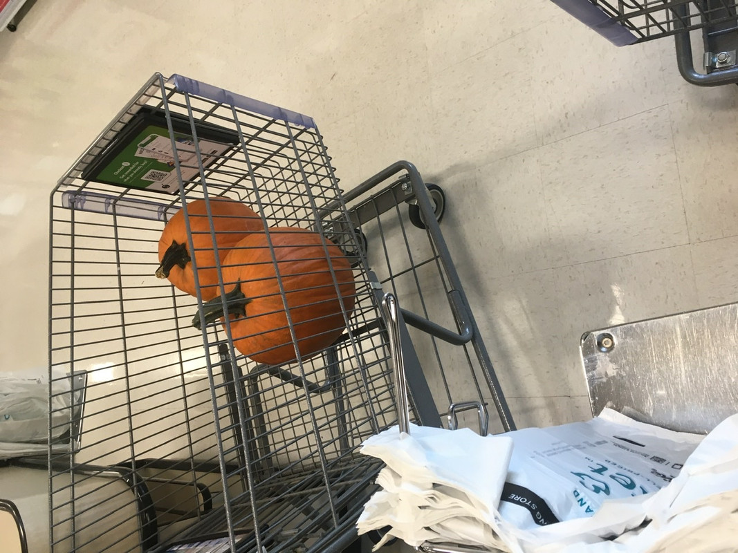 1CCF930A-74C5-4719-A5AA-DB0C1004A5A2