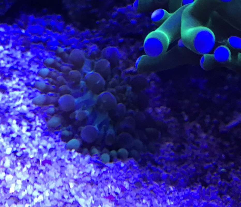 1A002705-CD18-478A-9689-015434B41D9A