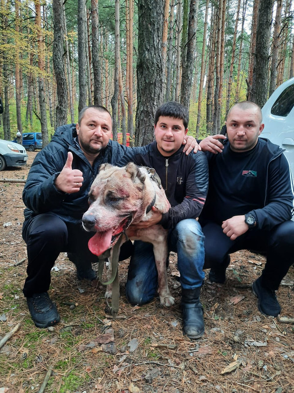 DC12534D-FF1F-4B9C-B585-61B790F1CFC5