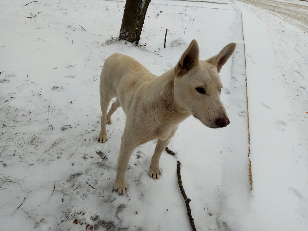 79ADFBFB-D753-45F8-B7E6-48081F331051