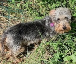 [Image: 20211107-063237.jpg]