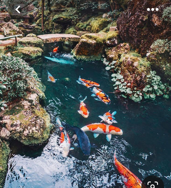 Screenshot_20230816_235816_Pinterest