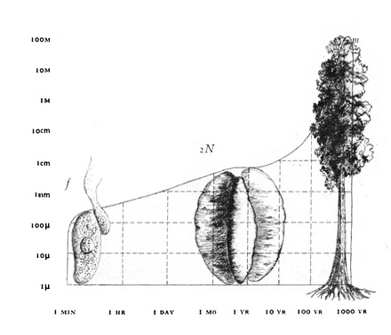 Screenshot 2025 12 11 at 09 22 04