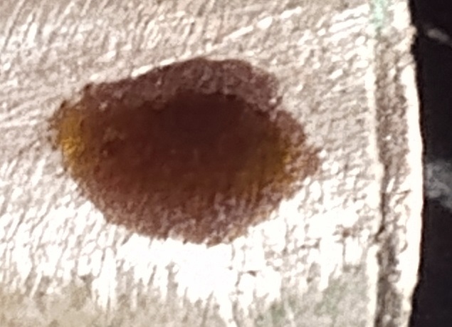 IMG 20260921 134646 200