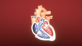 Unity Medical Visualization 03 Deployment and Usability Unity Medical Visualization 03 Deployment and Usability