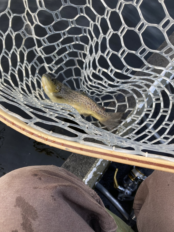 6E232D12-5F09-4DE2-8095-348C04CB964C