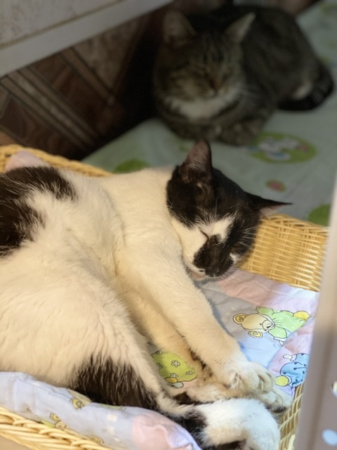 7E04466D-E19A-434C-8231-AFB4147CA870