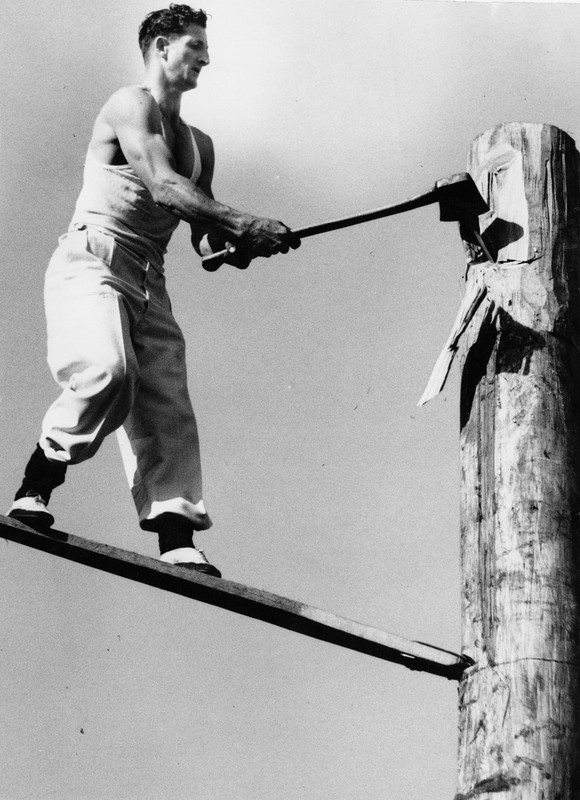 [Bild: STIHL-Springboard-hist.jpg]