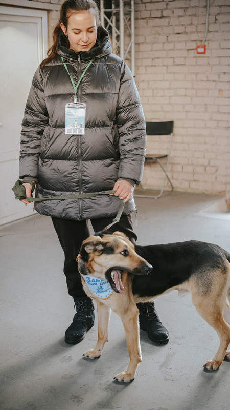 5F3D7627-FD09-48CA-85F4-65E6E23A4006