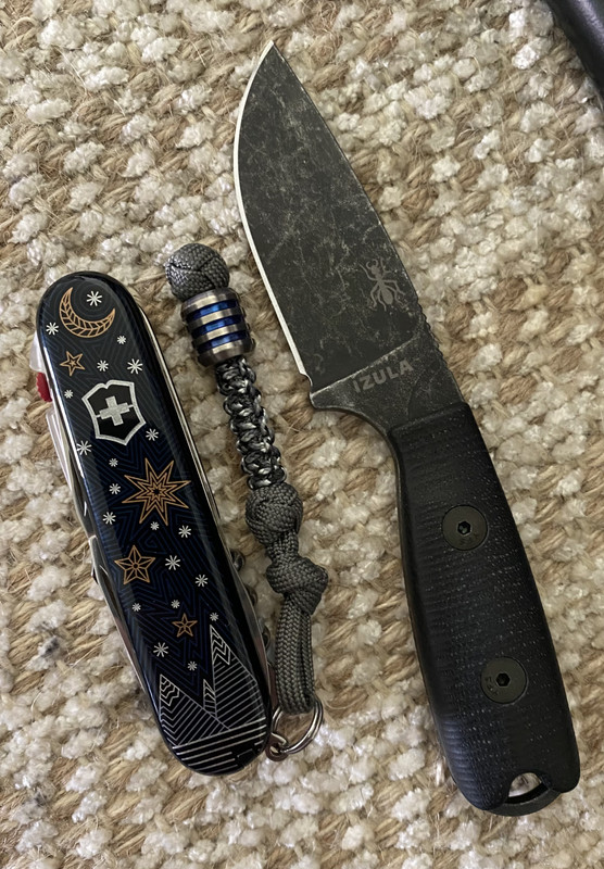 21D1EB19-24DF-4D79-913C-5948E17C04EB