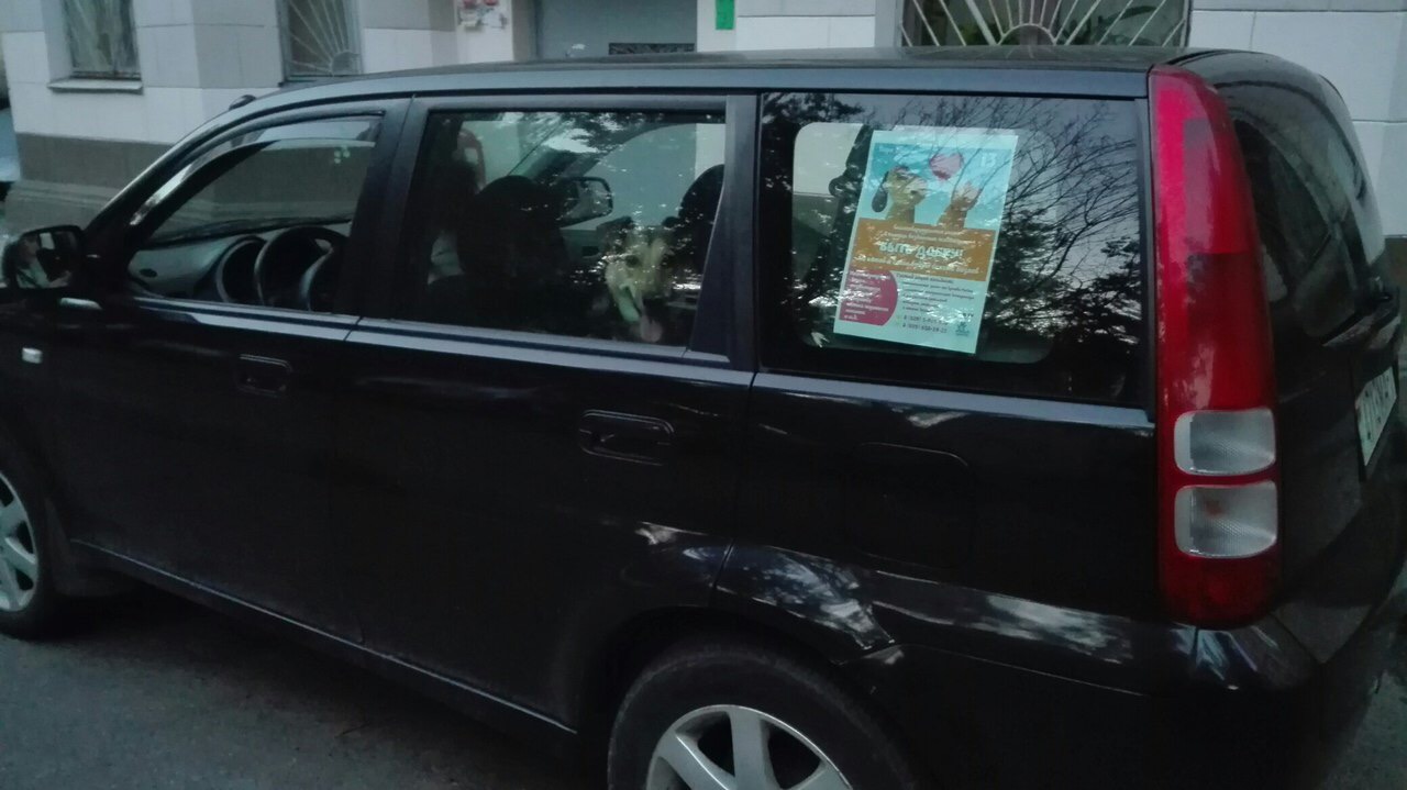 5000237B-D3D1-4A96-AE81-CA95C96E7378