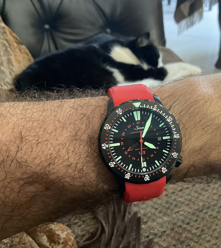 F33747CD-D790-4C66-9106-28F57A31C26E