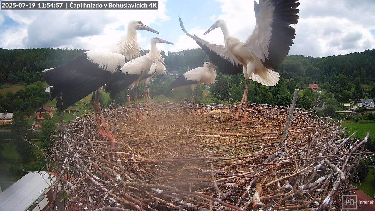 Tiešraide no KARA uzņēmuma stārķu skursteņa Bohuslavicē netālu no Trutnovas 15-11-2 screenshot