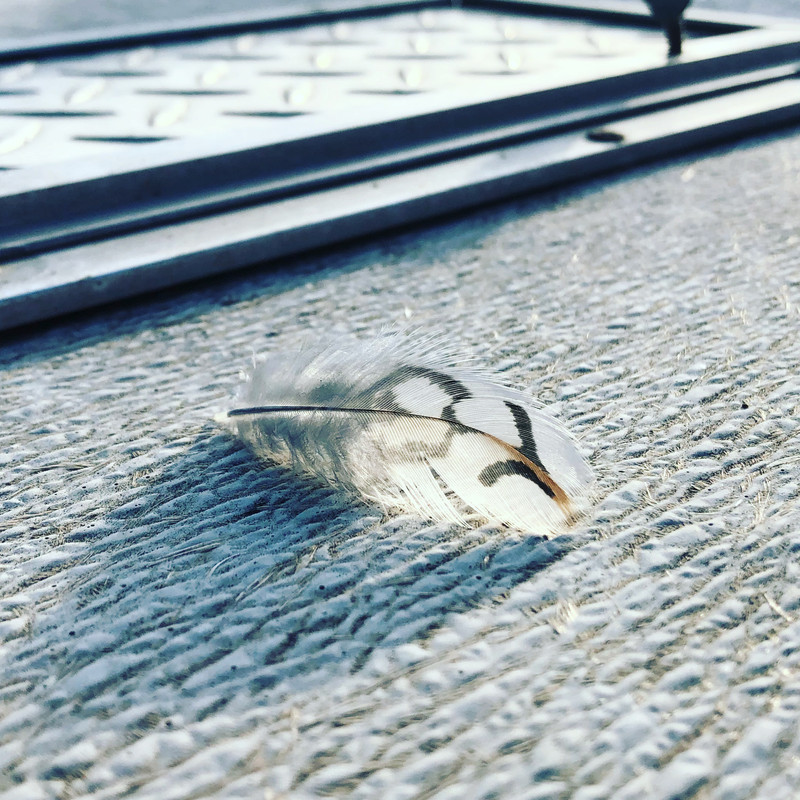 6BD73DDB-7E69-4537-89D0-FD6DBFDE36F2