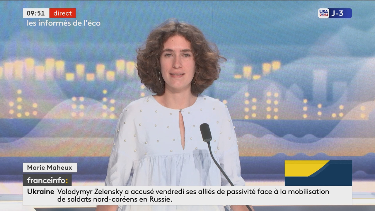 Les informés de l'éco (Franceinfo)_2024_11_02_08_36_59.ts_snapshot_15.32.842