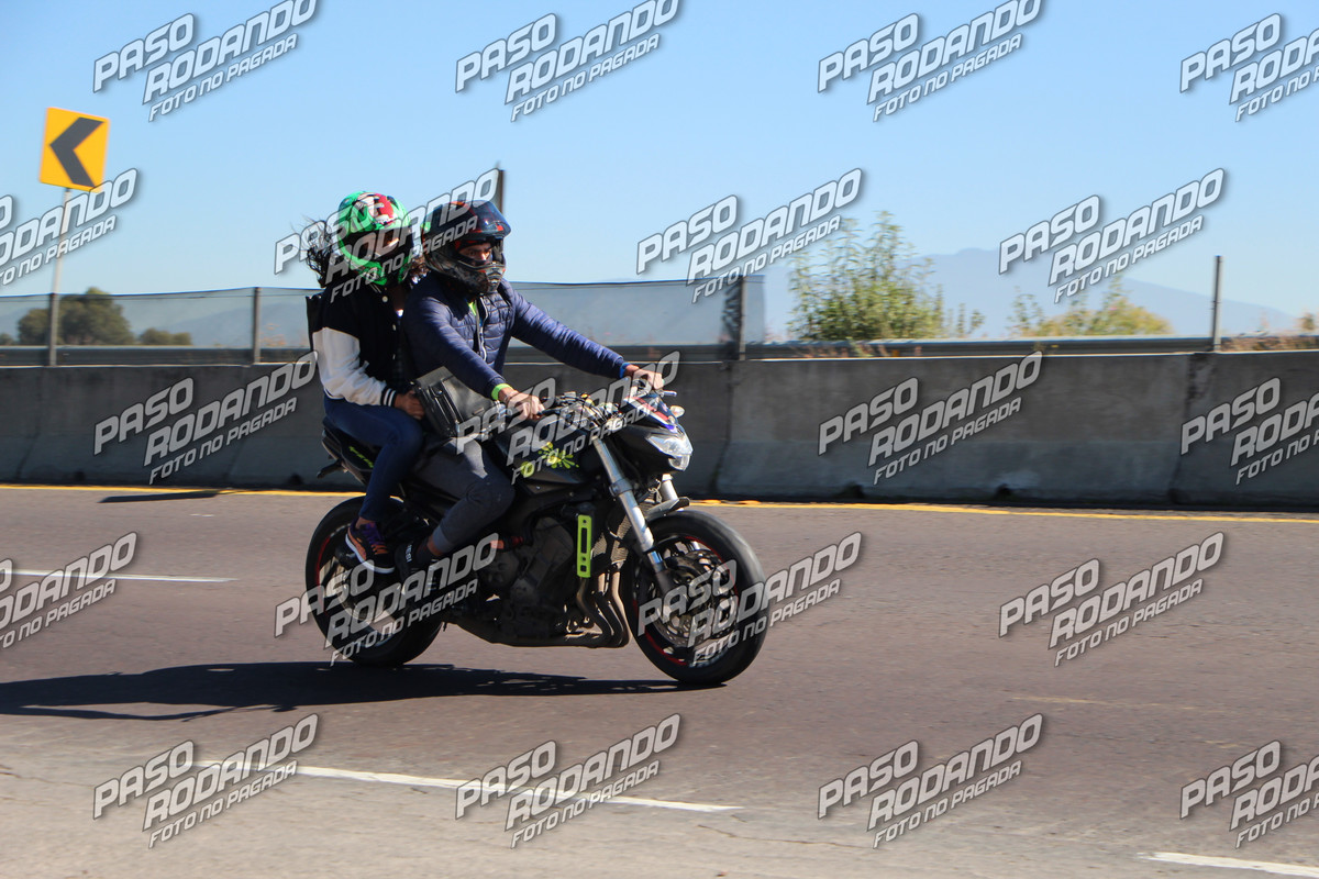 IMG 2735 wm 8455129 5 watermarked — Postimages