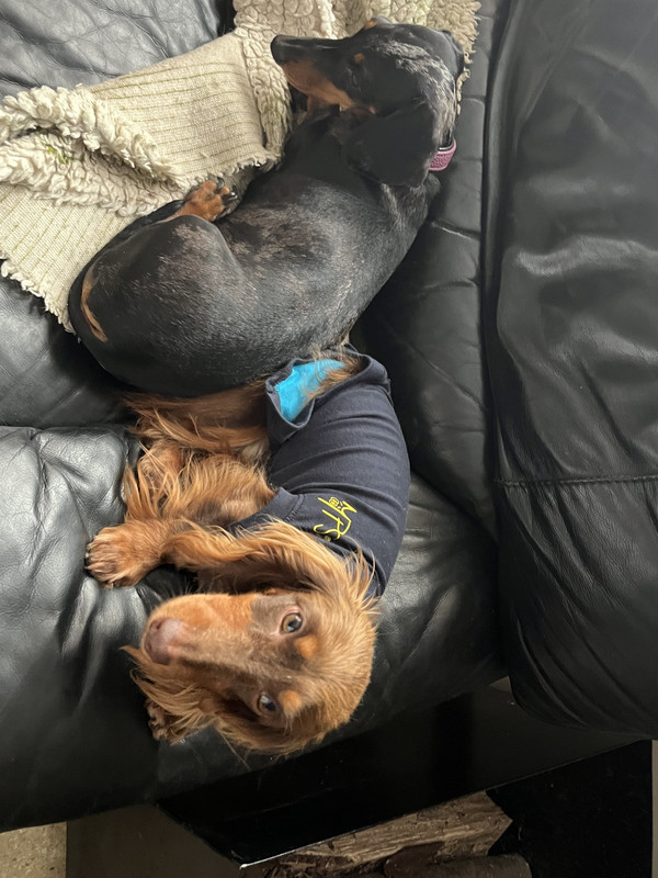 [Image: IMG-6781.jpg]