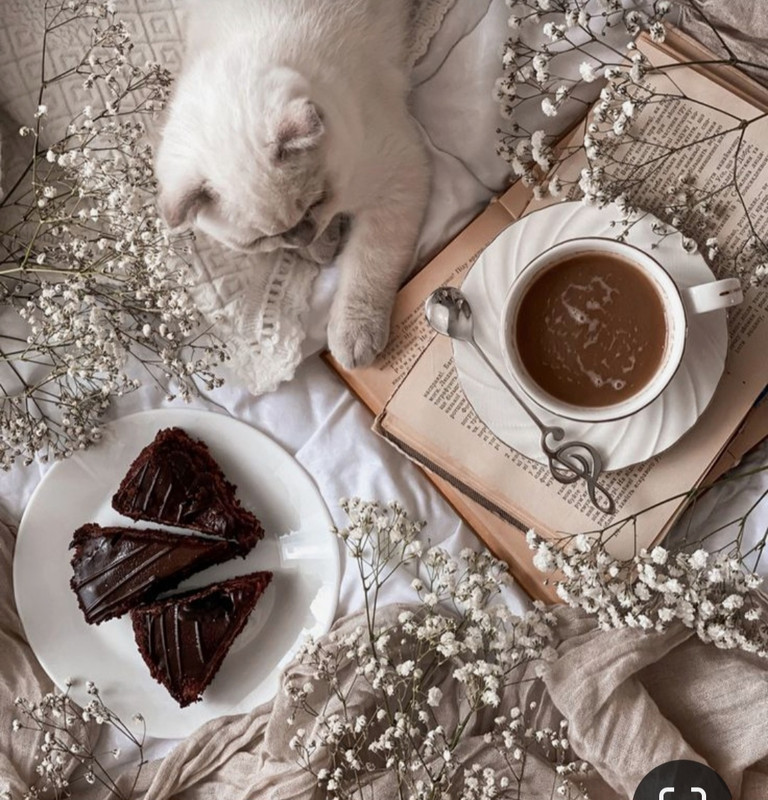 Screenshot_20230913_182916_Pinterest