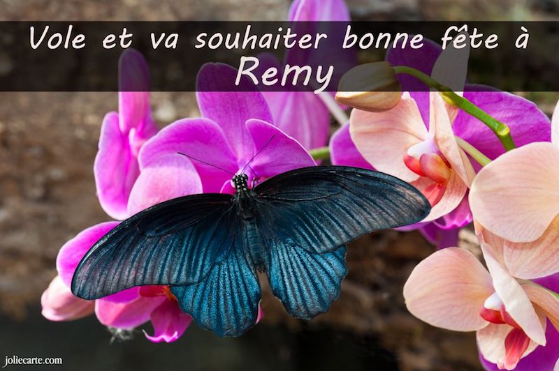 dimanche 15 janvier : bonne fête Rémy 230115bfremy01