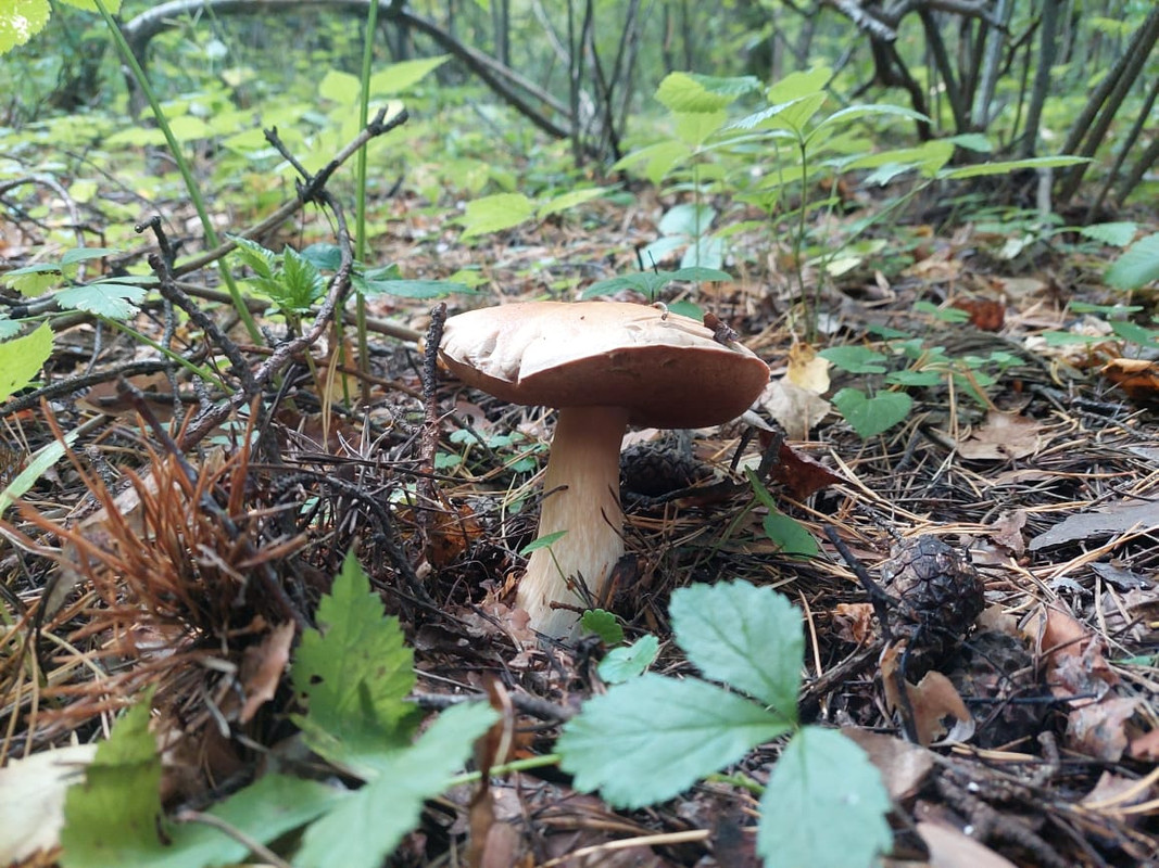 Изображение WhatsApp 2024-09-06 в 14.02.05_b3c52f44