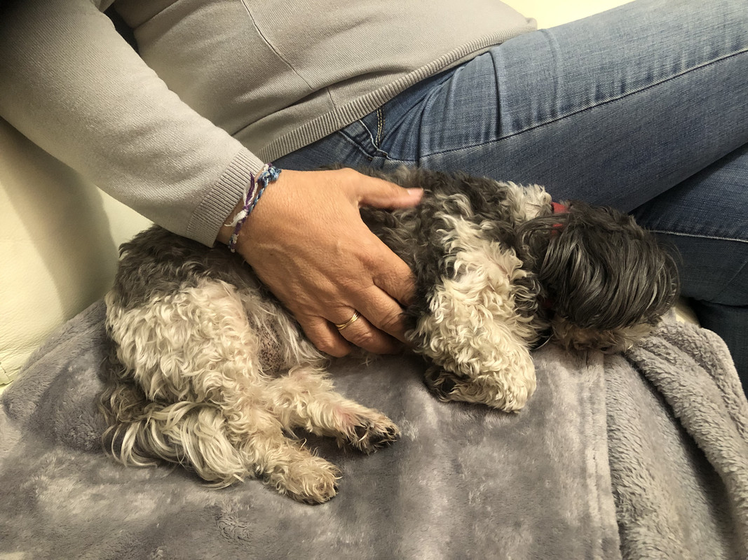 [Image: IMG-1345.jpg]