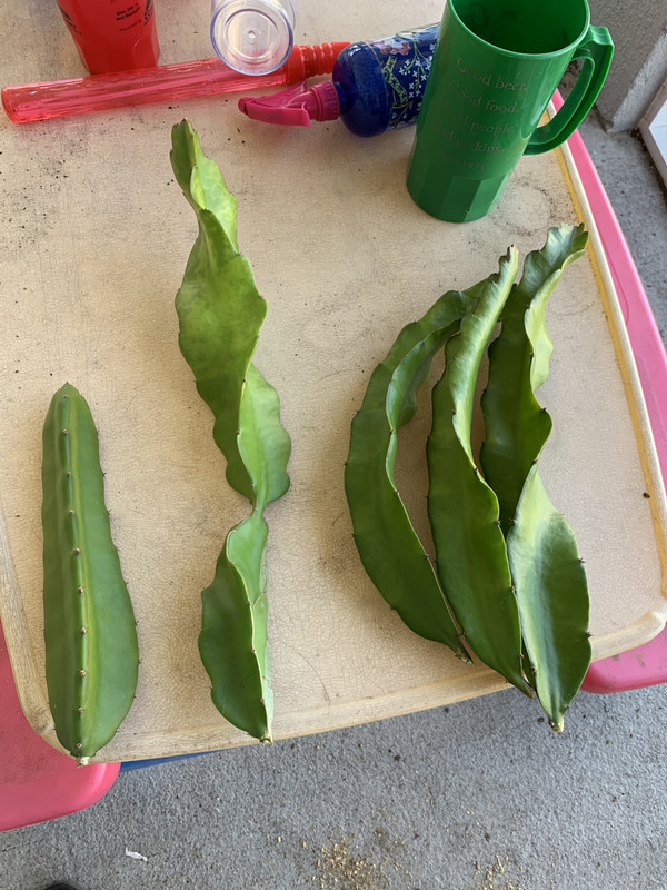 498C6425-C065-4262-A0BA-878C860F7CEB