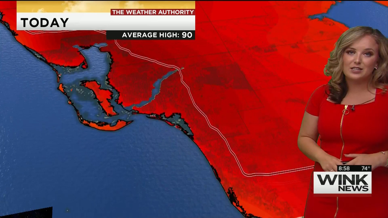 23 May - 14.00.00 - WINK News @ 9 00AM..ts_snapshot_00.02.39_[2020.05.23_17.10.51]