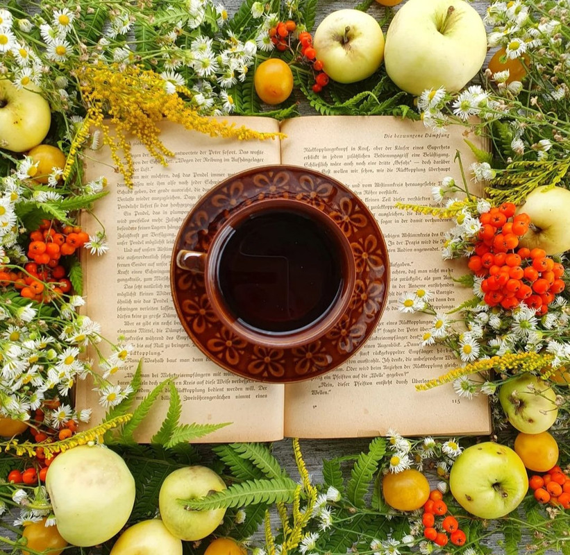 Screenshot_20240119_120631_Instagram