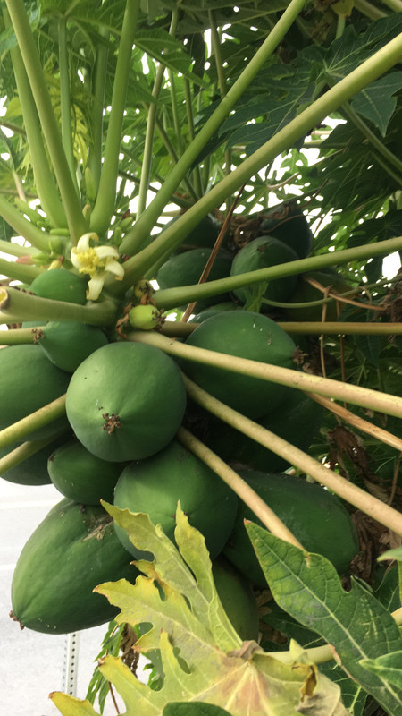 B8356CEB-FDA0-463C-8A65-38E3B12F3282