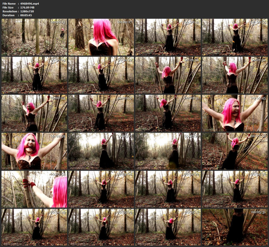 496B496.mp4