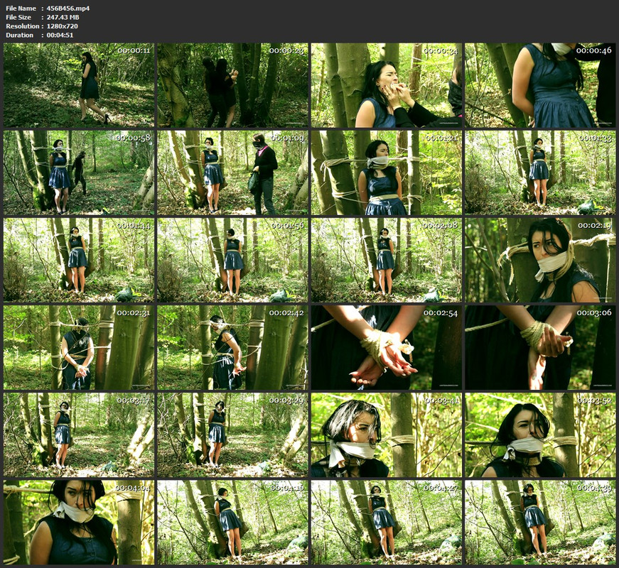 456B456.mp4