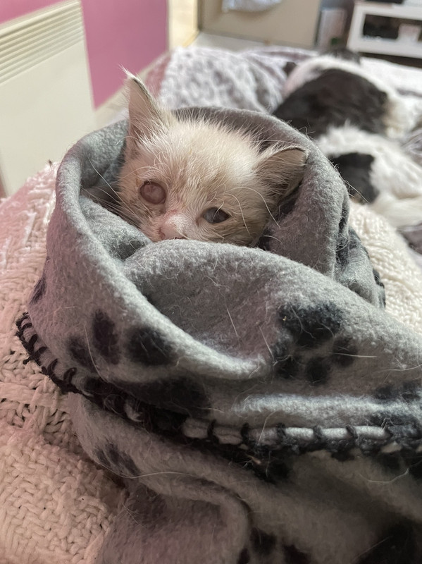 70CAEC1B-5D5B-46D6-96FB-9ED24969614F