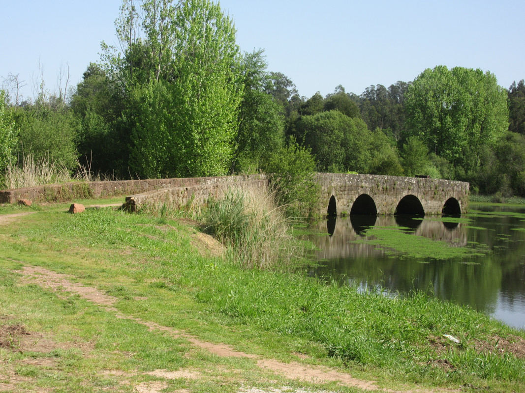 Lamas do Vouga - Ponte de Cabeço de Vouga (2)